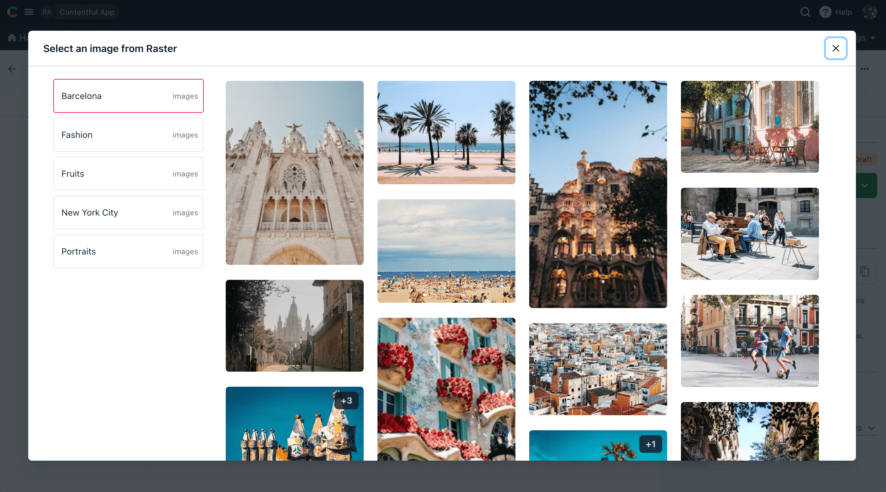 Browsing libraries and assets in the Raster picker