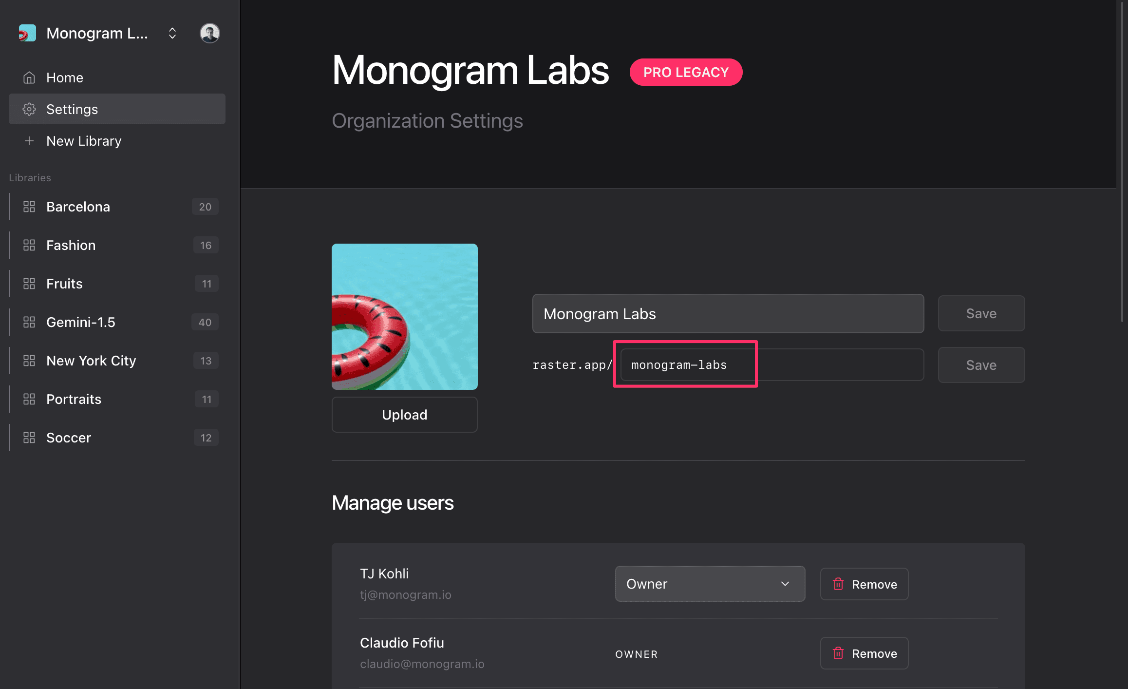 Where to find the organization ID in Raster settings