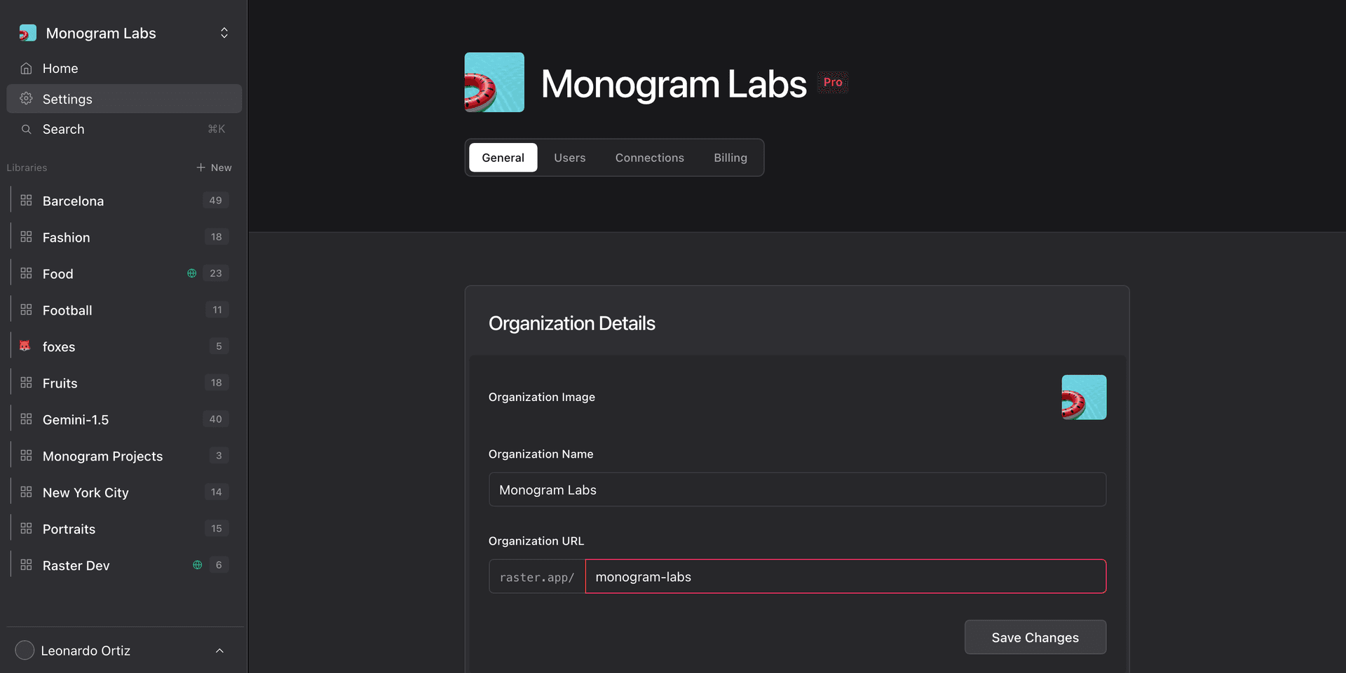 Where to find the organization ID in Raster settings