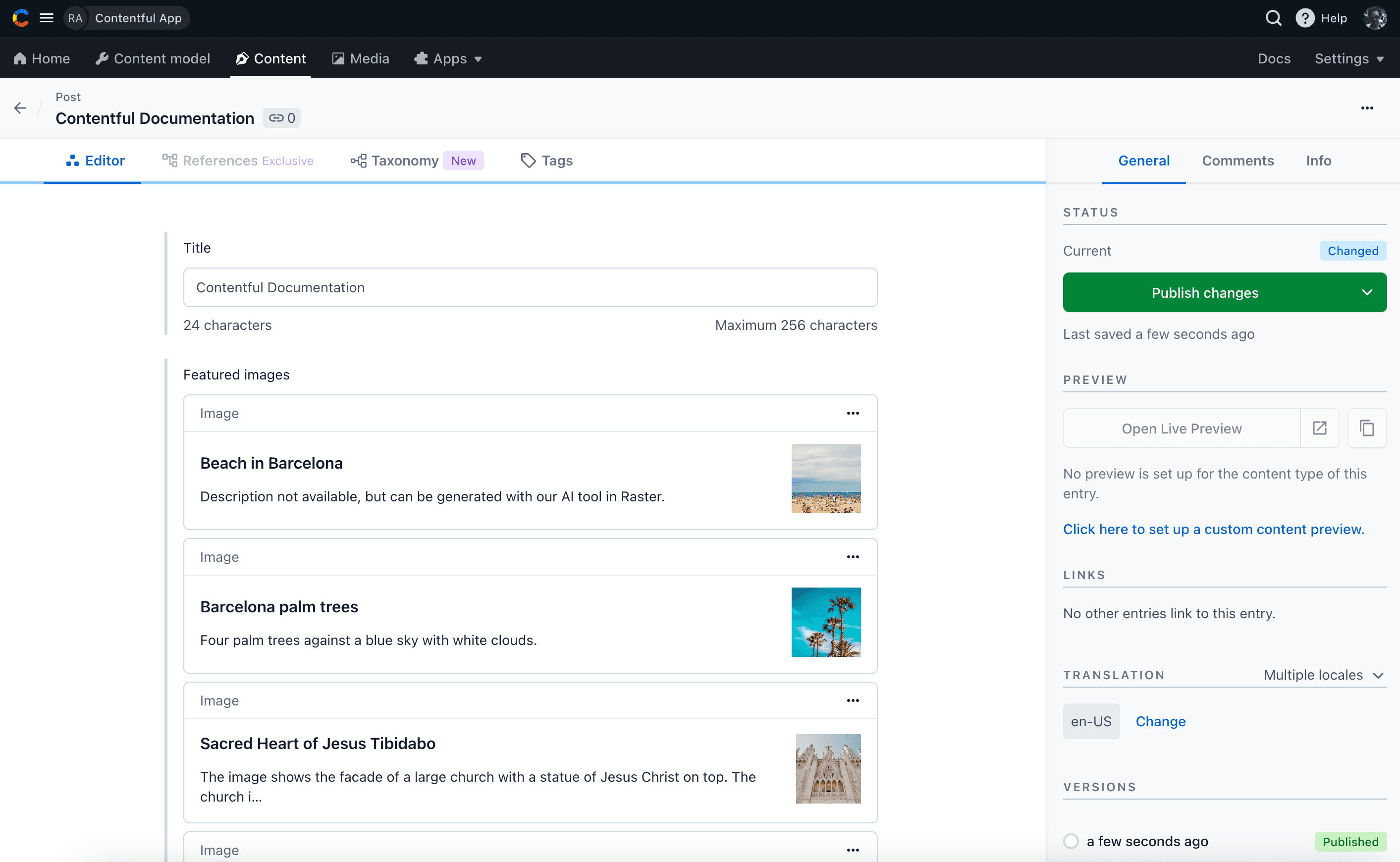 Previewing selected Raster assets in a Contentful entry