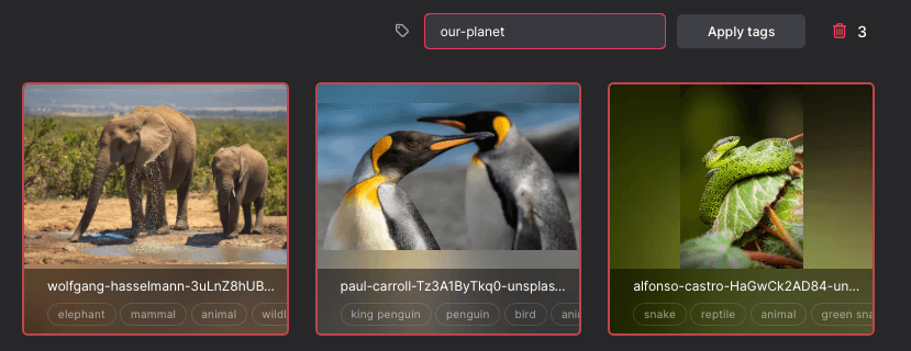Adding tags to an image from the sidebar